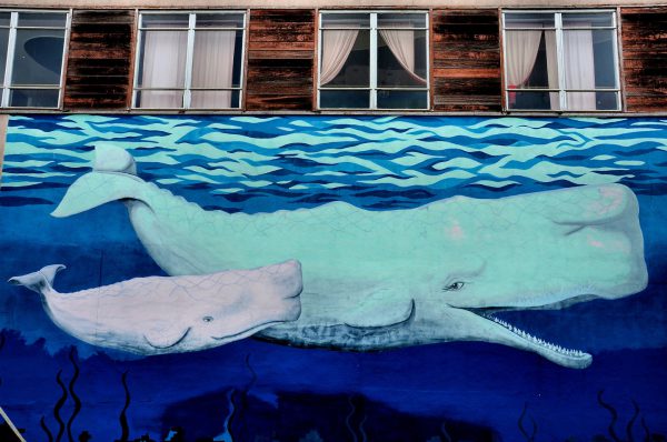 Mama Whale Mural in Eureka, California - Encircle Photos