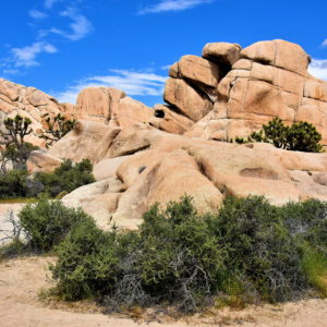Rock Formation Names at Joshua Tree Park, California - Encircle Photos