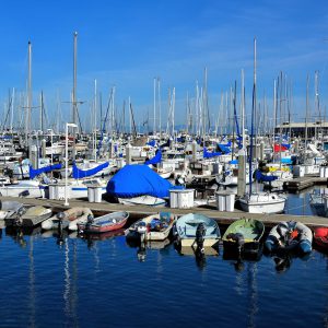 Boats Moored in Marina in Monterey, California - Encircle Photos
