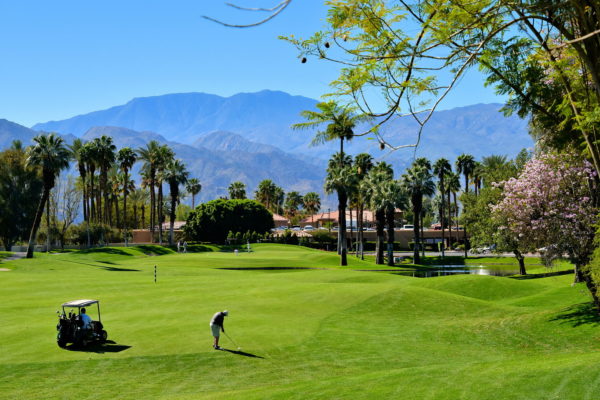Golfing in Coachella Valley in Palm Desert, California - Encircle Photos