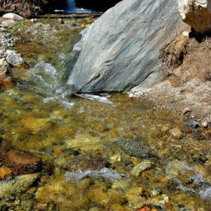 West Fork Falls at Palm Canyon in Palm Springs, California - Encircle Photos