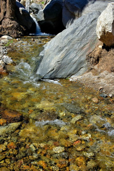 West Fork Falls at Palm Canyon in Palm Springs, California - Encircle Photos