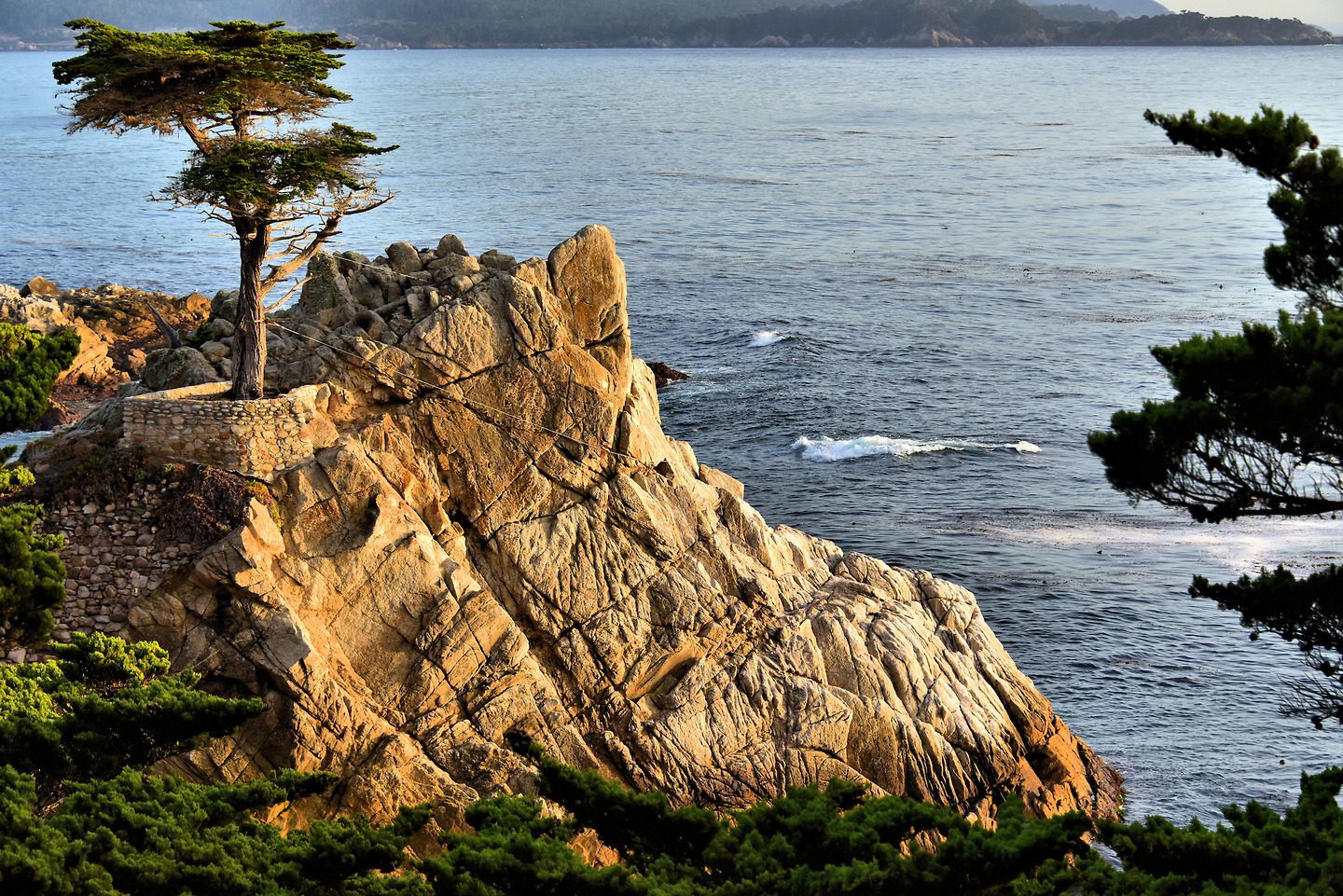 The Lone Cypress at Sunset on 17-Mile Drive in Pebble Beach, California - Encircle Photos