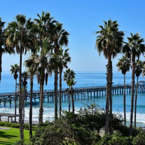 San Clemente Pier and Palm Trees in San Clemente, California - Encircle Photos