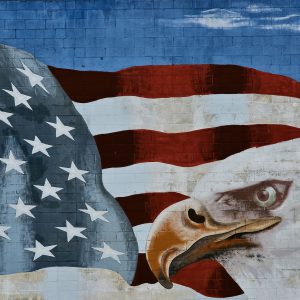 American Flag and Bald Eagle Mural in San Diego, California - Encircle Photos