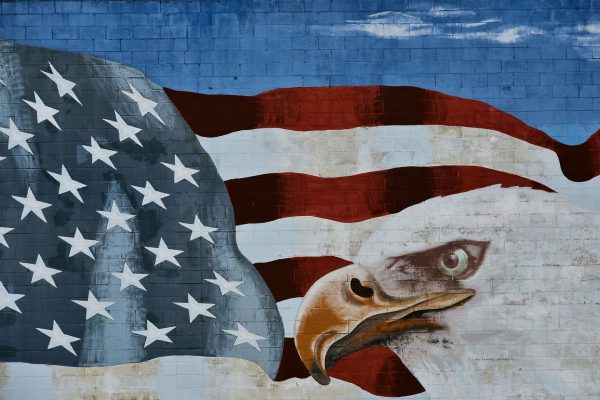 American Flag and Bald Eagle Mural in San Diego, California - Encircle Photos