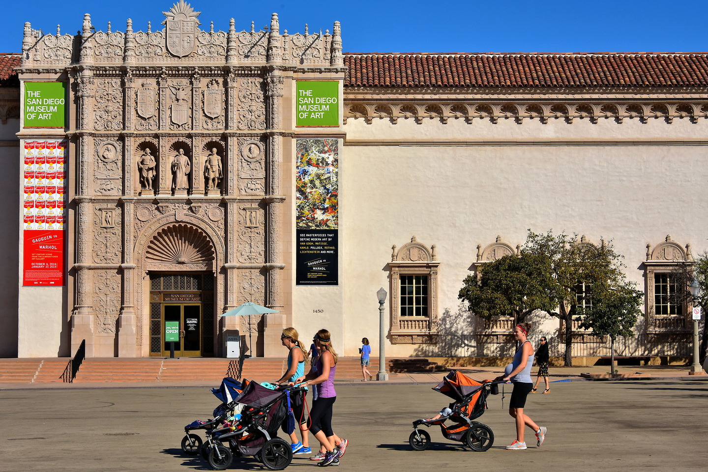 Museum of Art at Balboa Park in - California San Diego Balboa Park Museum Of Art 