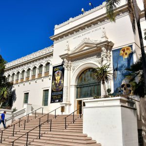Natural History Museum at Balboa Park in San Diego, California - Encircle Photos