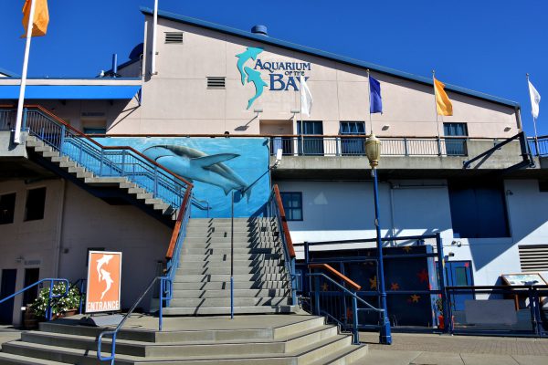 Aquarium of the Bay Entrance in San Francisco, California - Encircle Photos