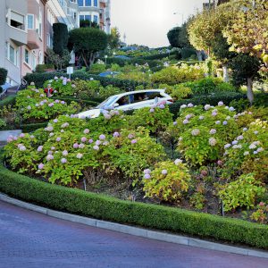 Lombard Street Crooked Street in San Francisco, California - Encircle Photos
