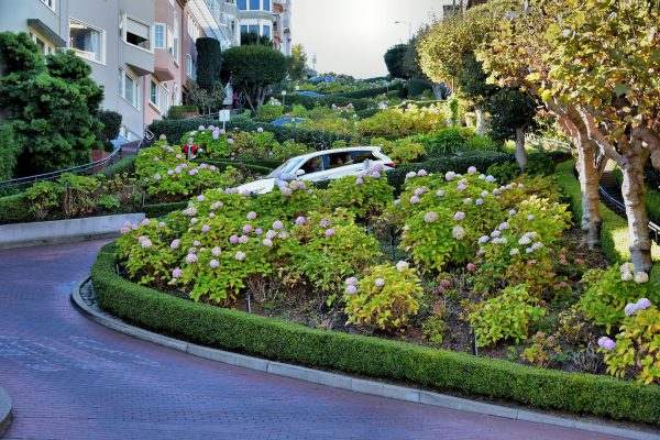 Lombard Street Crooked Street in San Francisco, California - Encircle Photos