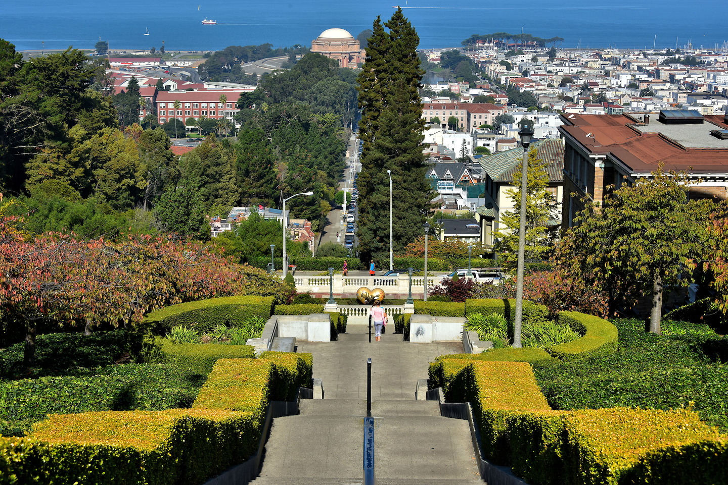 Lyon Street Steps View in San Francisco, California - Encircle Photos