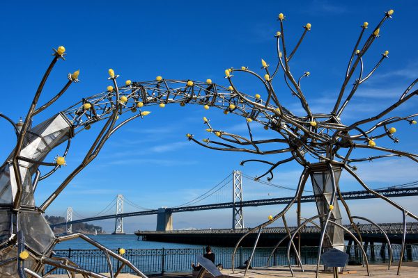 Soma Sculpture by Flaming Lotus Girls in San Francisco, California - Encircle Photos