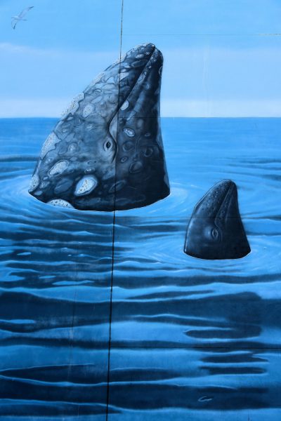 Spyhopping Gray Whale Mural by Wyland in San Francisco, California - Encircle Photos
