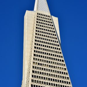 Transamerica Pyramid Building in San Francisco, California - Encircle Photos