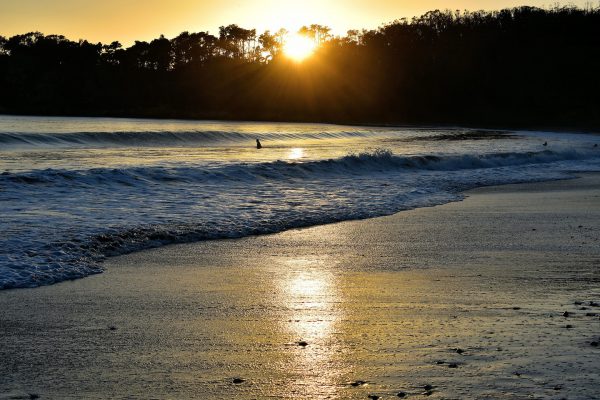 Sunset at Hearst State Beach in San Simeon, California - Encircle Photos