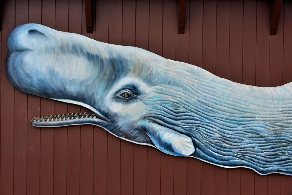 Moby Dick Mural on Stearns Wharf in Santa Barbara, California - Encircle Photos