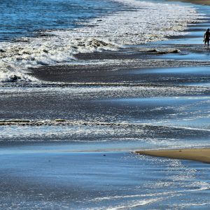 Men Walking on Seabright State Beach in Santa Cruz, California - Encircle Photos