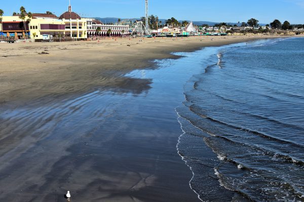 Santa Cruz Beach in Santa Cruz, California - Encircle Photos