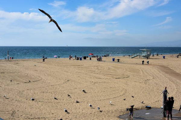 Santa Monica State Beach in Santa Monica, California - Encircle Photos