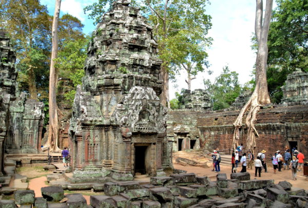 Brief Description of Ta Prohm in Angkor Archaeological Park, Cambodia - Encircle Photos