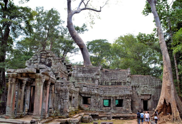 Library at Ta Prohm in Angkor Archaeological Park, Cambodia - Encircle Photos