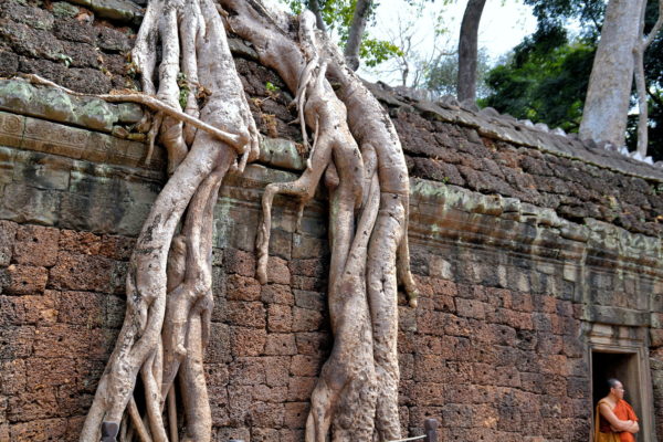 Movie Location at Ta Prohm in Angkor Archaeological Park, Cambodia - Encircle Photos