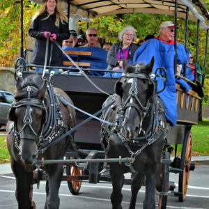 Horse-drawn Carriage Ride in Charlottetown, Canada - Encircle Photos