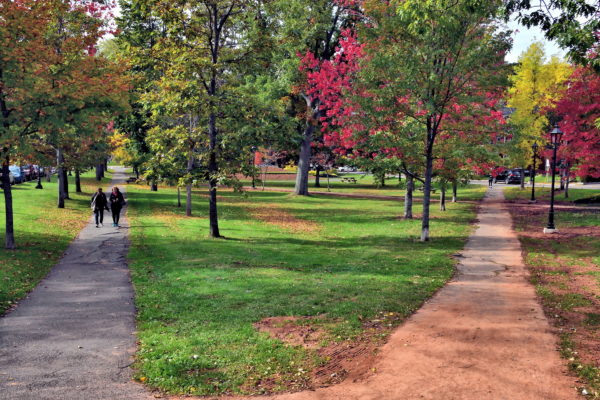Rochford Square in Charlottetown, Canada - Encircle Photos