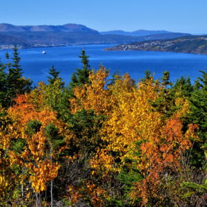 Humber Arm from Captain Cook Historic Site in Corner Brook, Canada - Encircle Photos
