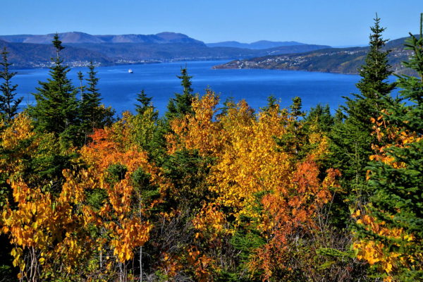 Humber Arm from Captain Cook Historic Site in Corner Brook, Canada - Encircle Photos