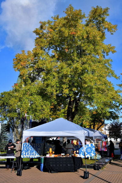Crafts Market at Remembrance Square in Corner Brook, Canada - Encircle Photos