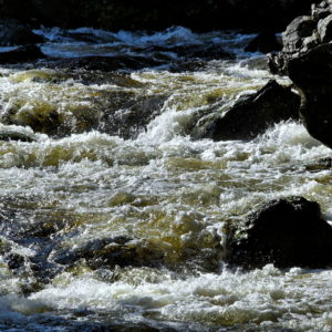 Rushing Stream at Glynmill Pond in Corner Brook, Canada - Encircle Photos