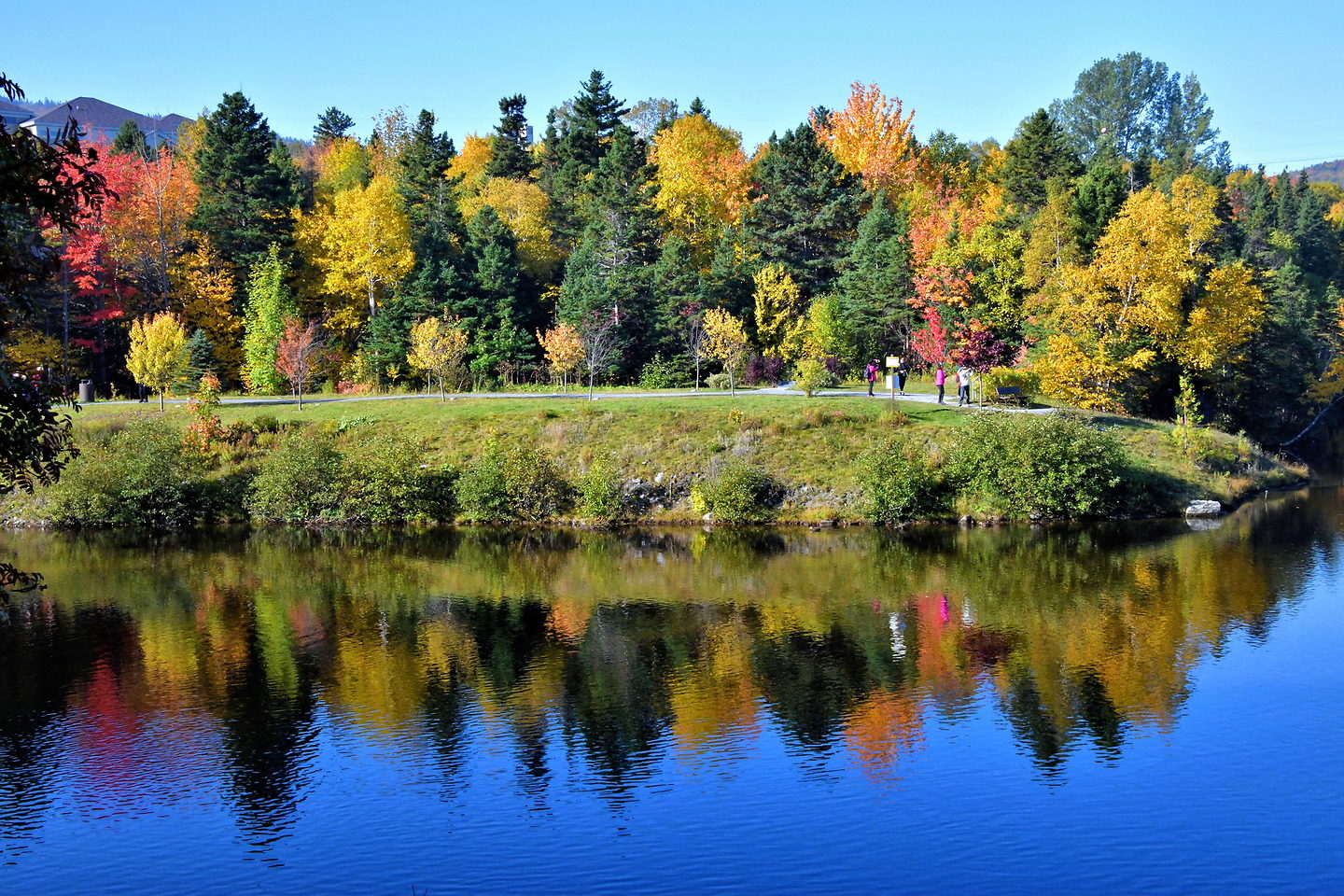 Glynmill Pond, One of Four Trails in Corner Brook, Canada Encircle Photos