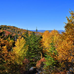 Autumn Foliage on Gorge Trail in Corner Brook, Canada - Encircle Photos