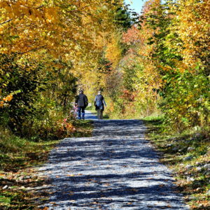 Couple Hiking on Gorge Trail in Corner Brook, Canada - Encircle Photos