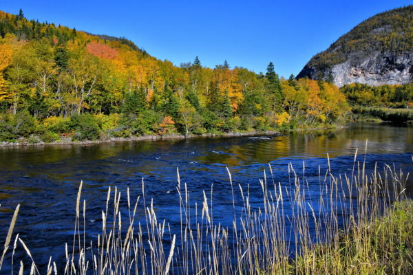 Route 1, Part of Transcontinental Highway in Corner Brook, Canada - Encircle Photos