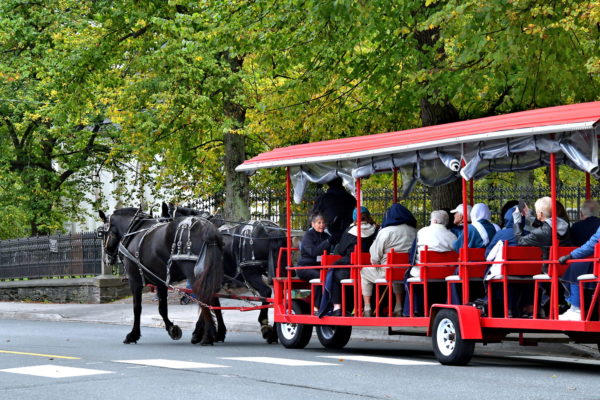 Horse-drawn Trolley on Spring Garden Road in Halifax, Canada - Encircle Photos