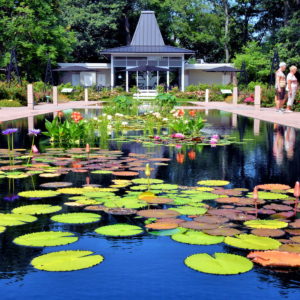 Teahouse at Royal Botanical Gardens in Hamilton, Canada - Encircle Photos