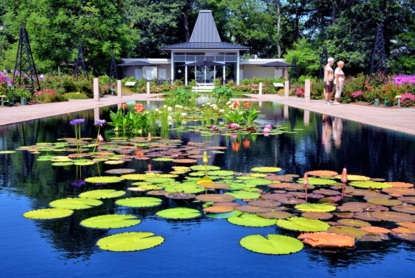 Teahouse at Royal Botanical Gardens in Hamilton, Canada - Encircle Photos