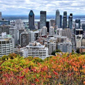 Downtown Skyline from Mount Royal in Montreal, Canada - Encircle Photos