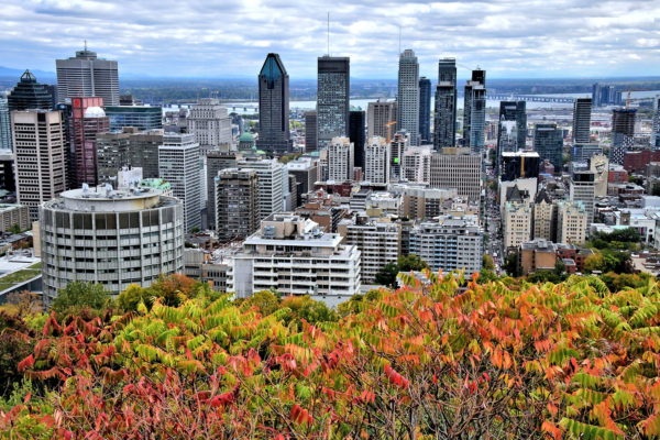 Downtown Skyline from Mount Royal in Montreal, Canada - Encircle Photos