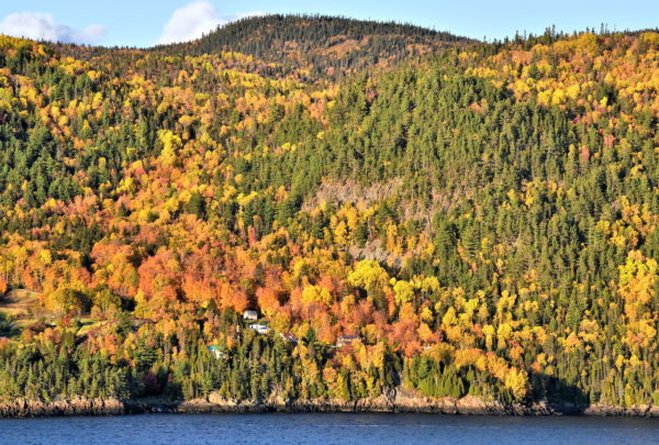 Fabulous Fall Foliage near Saguenay, Canada - Encircle Photos