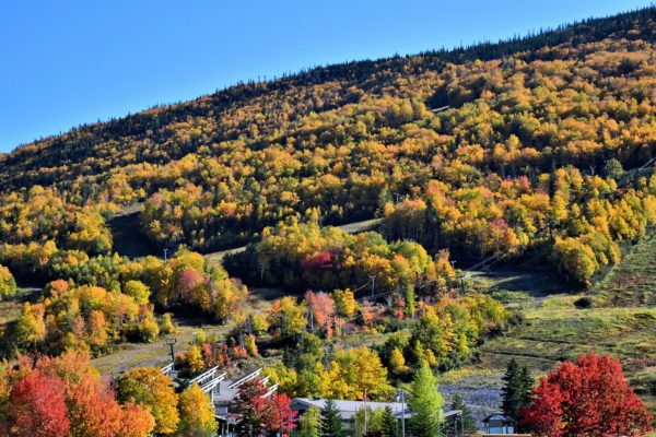 Marble Mountain Resort in Steady Brook, Canada - Encircle Photos