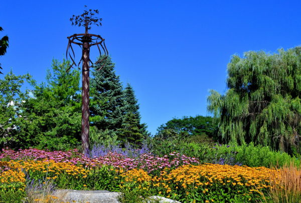 Toronto Music Garden at Harbourfront in Toronto, Canada - Encircle Photos