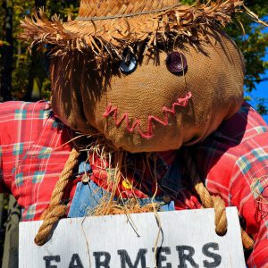 Scarecrow at Granville Farmers Market in Vancouver, Canada - Encircle Photos