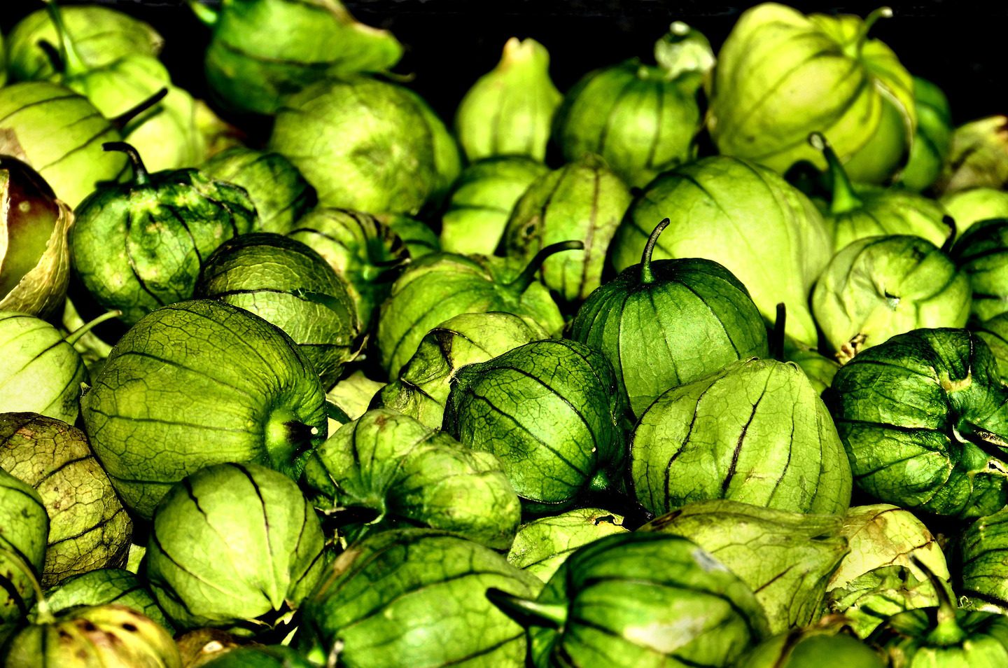 Tomatillos in Stack Display at Farmers Market in Vancouver, Canada