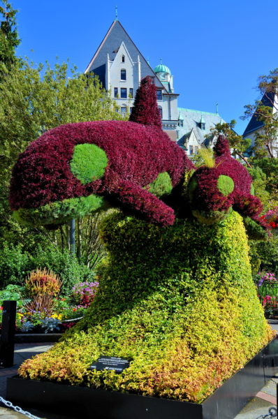 Mother Orca and Calf Topiary in Victoria, Canada - Encircle Photos