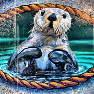 River Otter Mural in Downtown Victoria, Canada - Encircle Photos