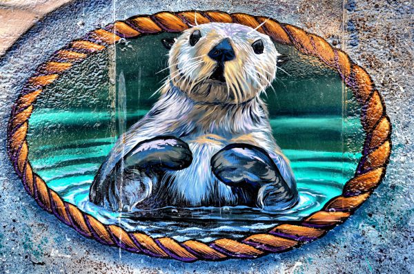 River Otter Mural in Downtown Victoria, Canada - Encircle Photos